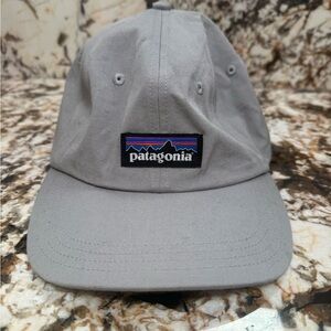 Patagonia Light Gray Logo Cap